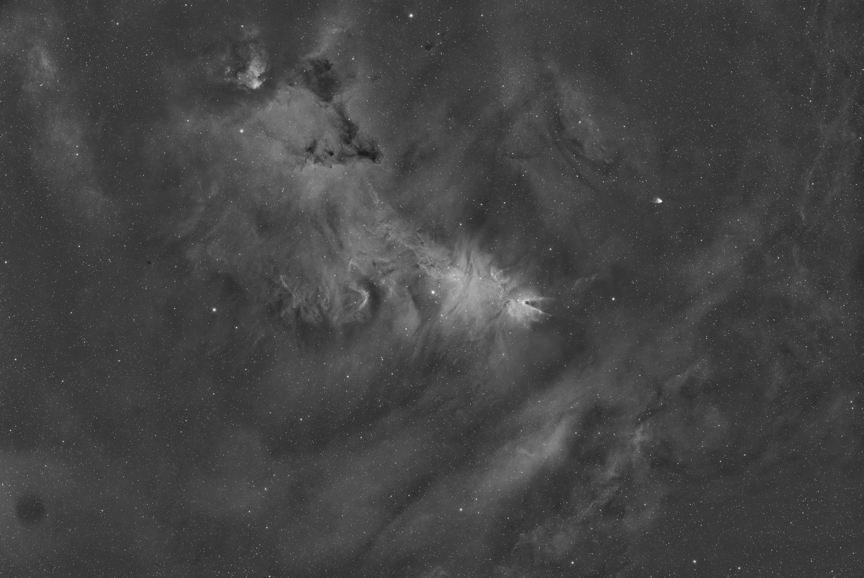 ngc2264s.jpg