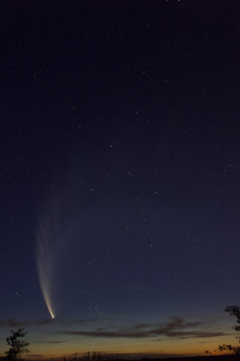 Astrofotografía de Cometa McNaught (C/2006 P1) en la categoría Cometa Mc Naught