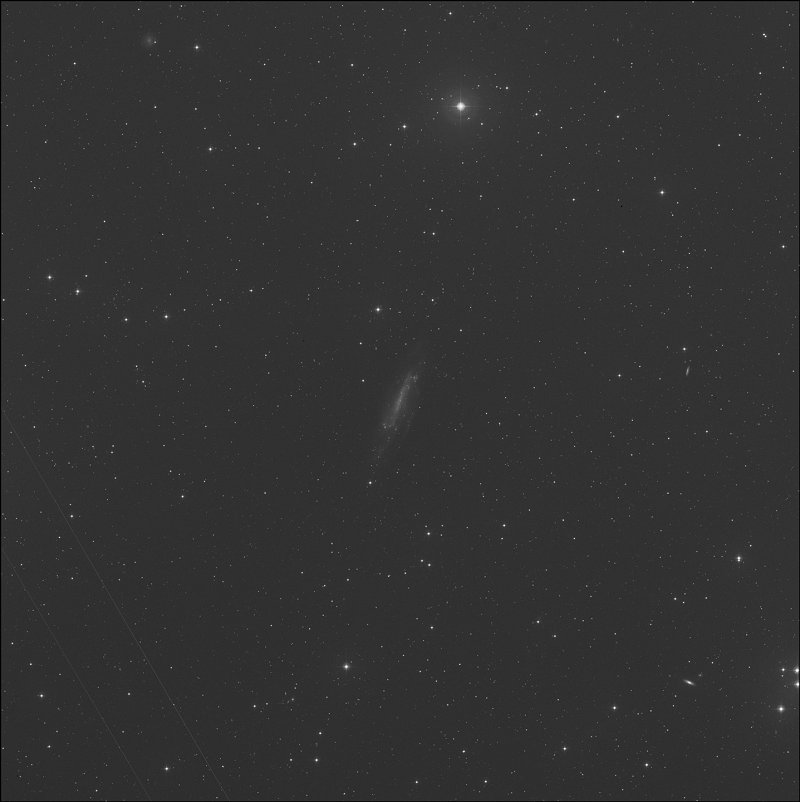 Galaxia de la Osa Mayor C