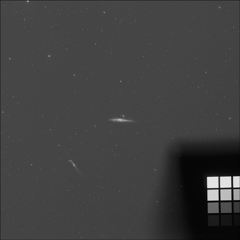 NGC 4631 - Galaxia de la Ballena