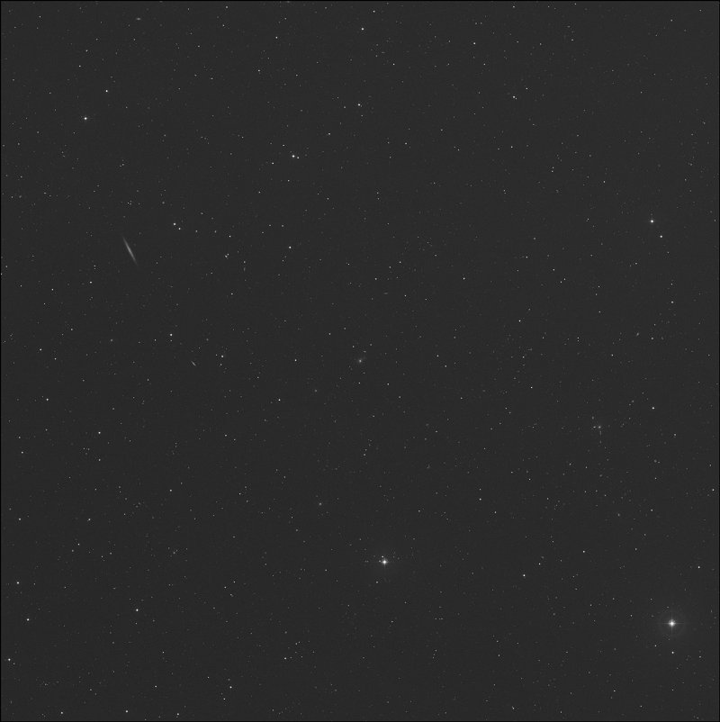 NGC 5003