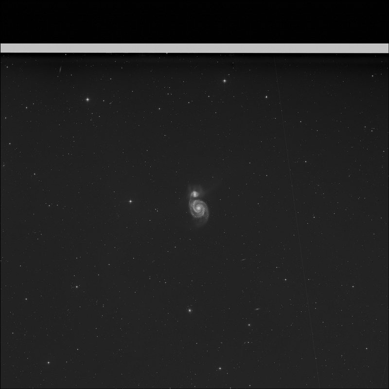 Compañera del Remolino