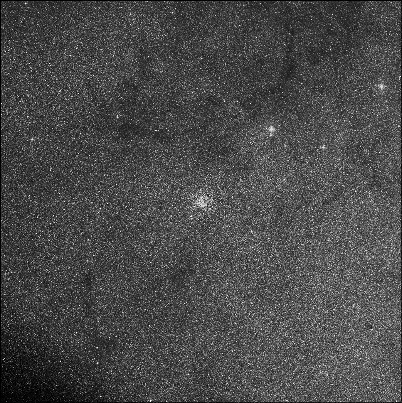 Amas de l'Ecu de Sobieski, Cúmulo del Pato Salvaje