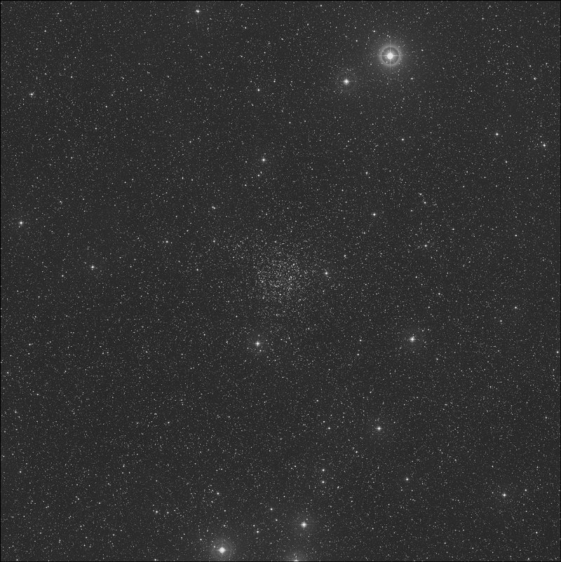 La Rosa de Carolina / Cúmulo de la Rosa Blanca