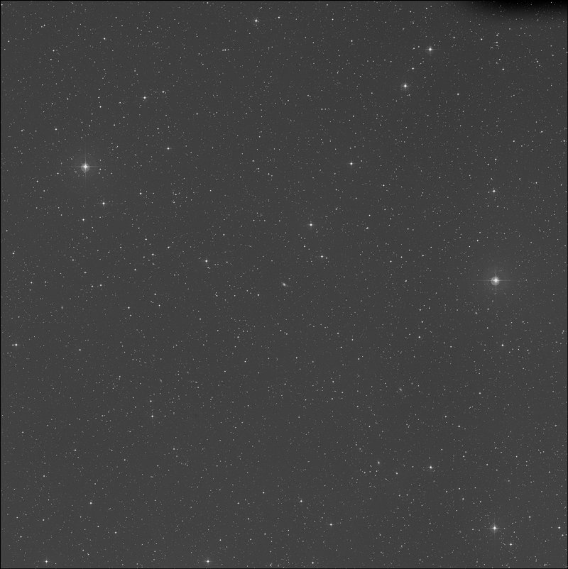 IC 1339