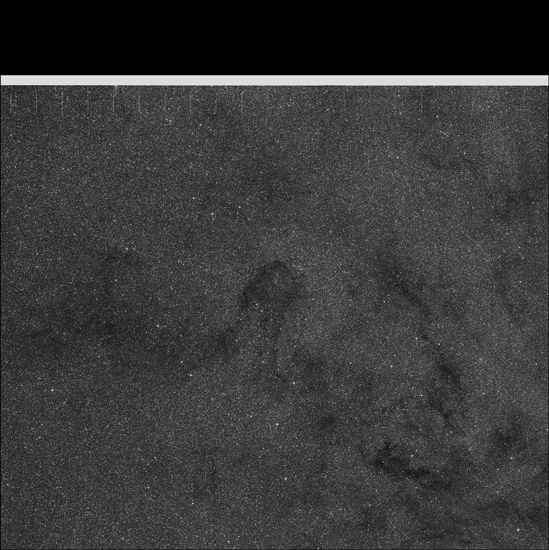 Barnard 87, Parrot's Head Nebula