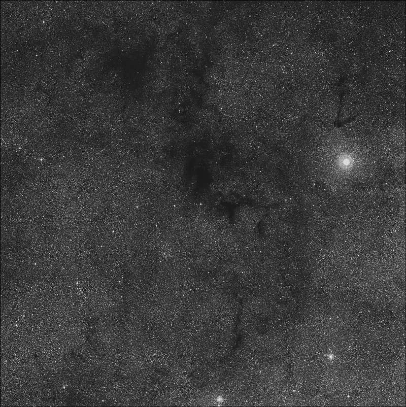 Barnard 111