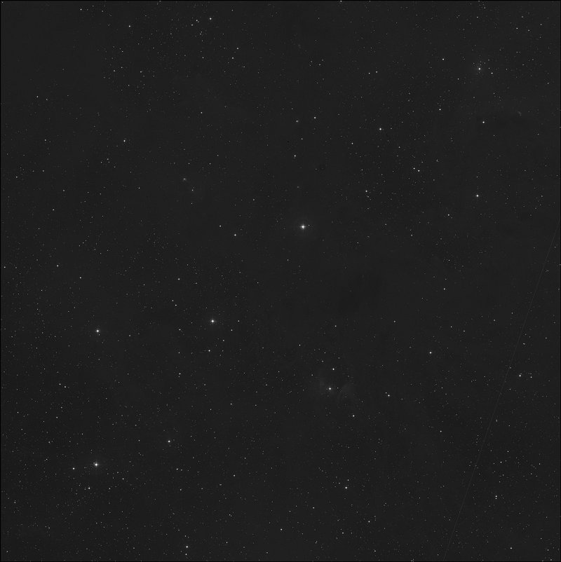 Barnard 206