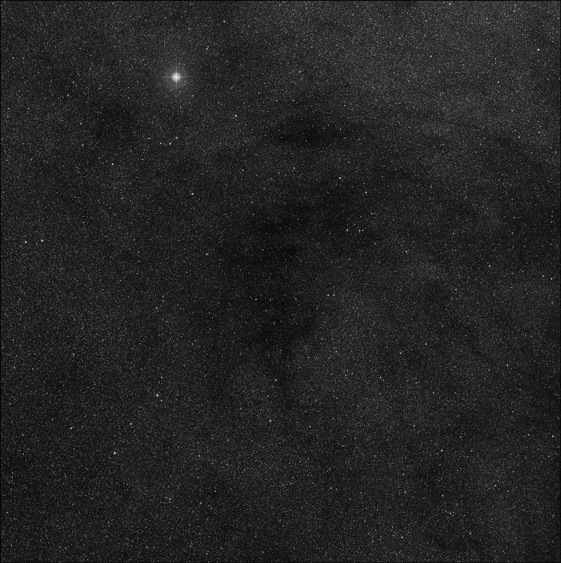 Barnard 295