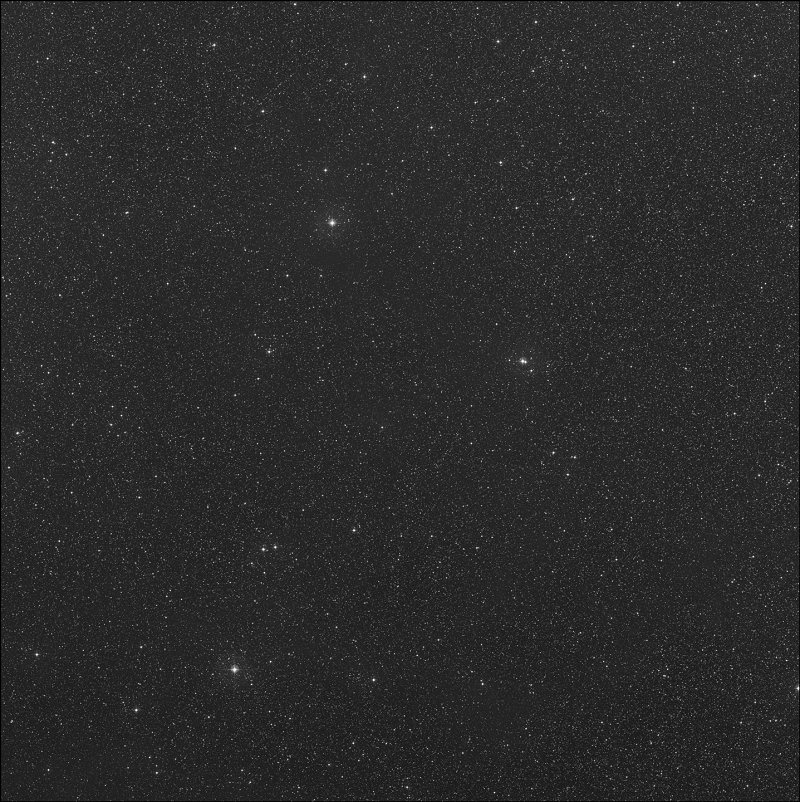 Barnard 339
