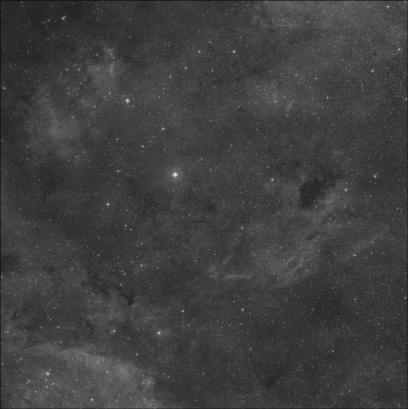 Barnard 344