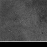 Collinder 468, CR 468