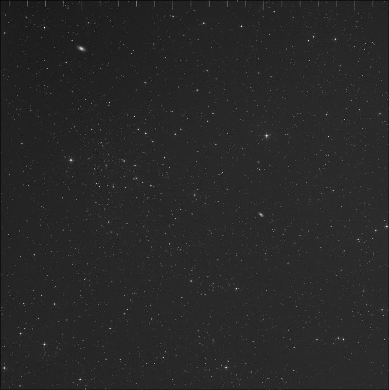 IC 194202