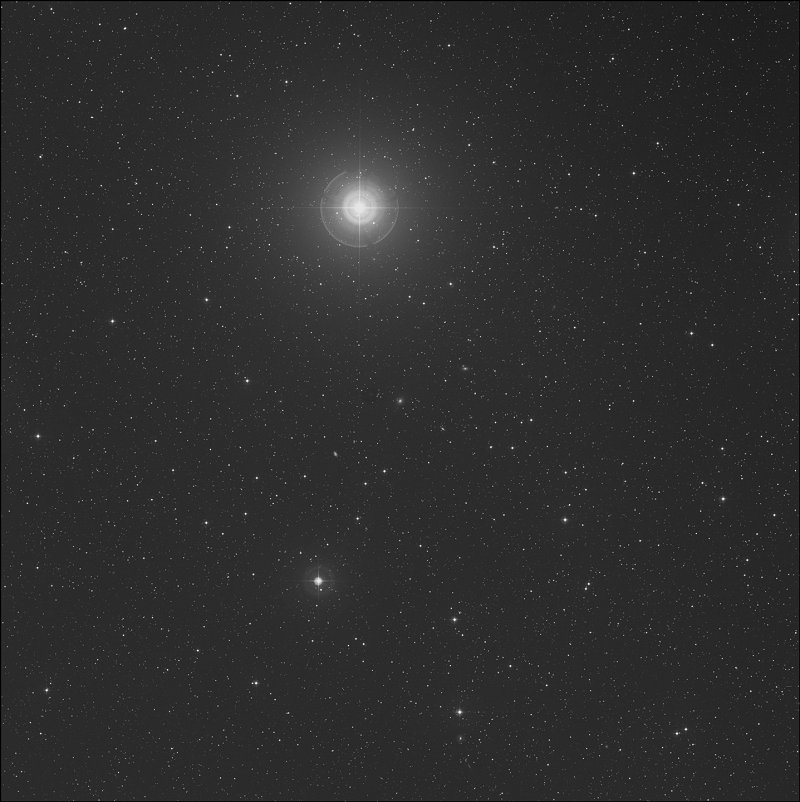 IC 2196