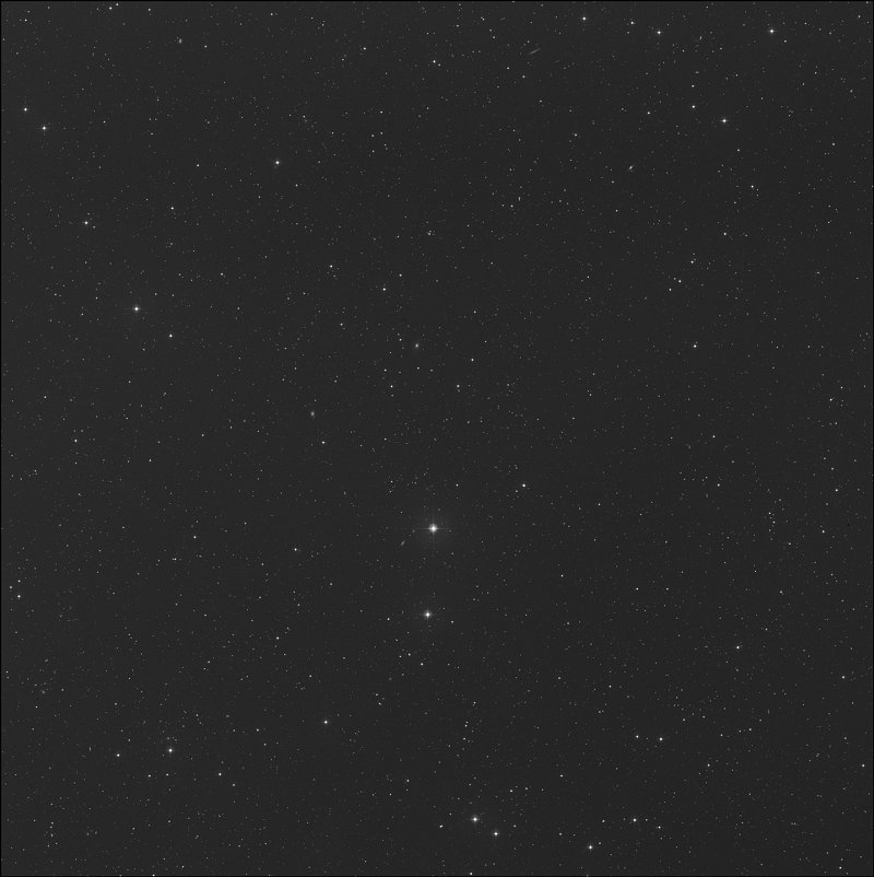 IC 2336