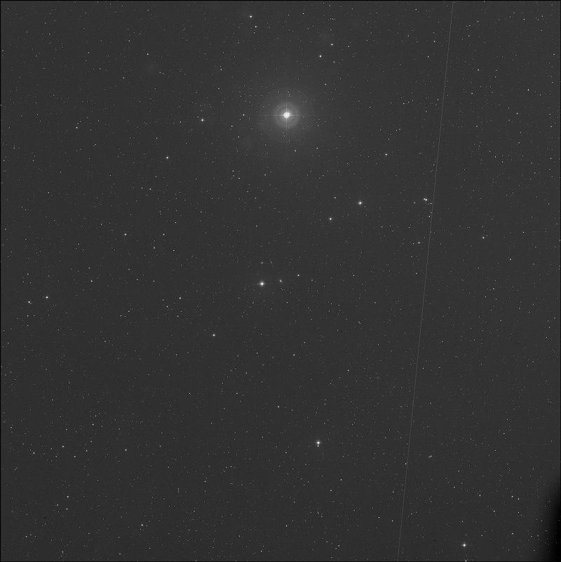 IC 2393