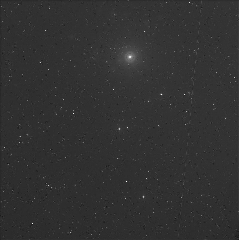 IC 2394