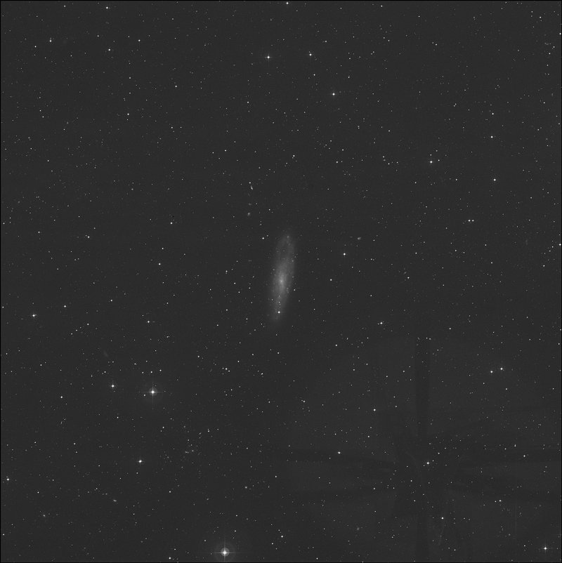 NGC 247 - Galaxia de la Aguja del Ojo