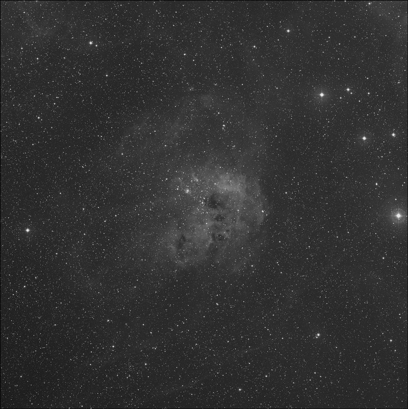 Cúmulo del Renacuajo