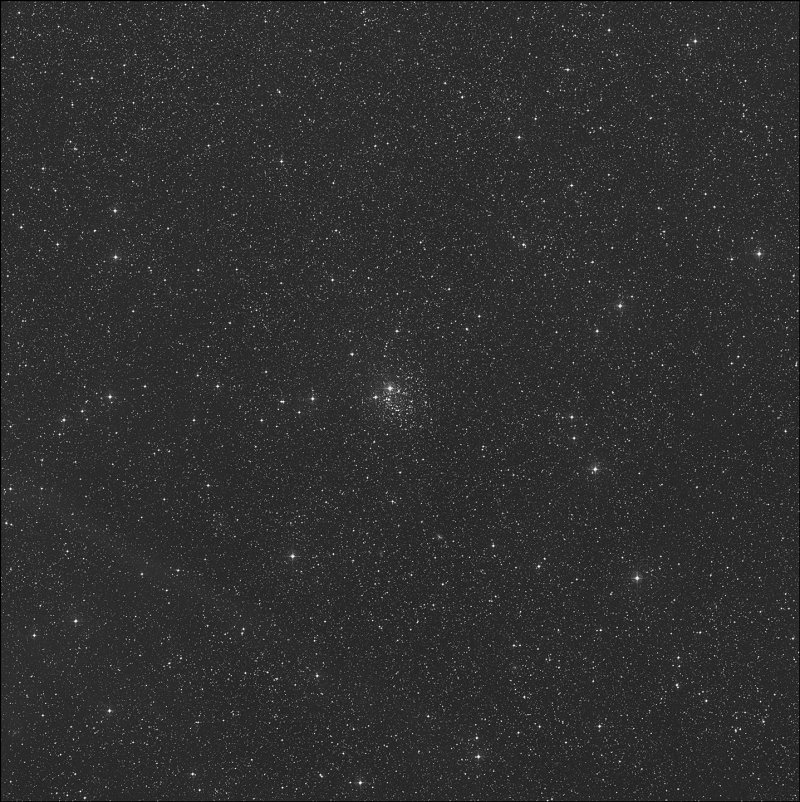 NGC 2439