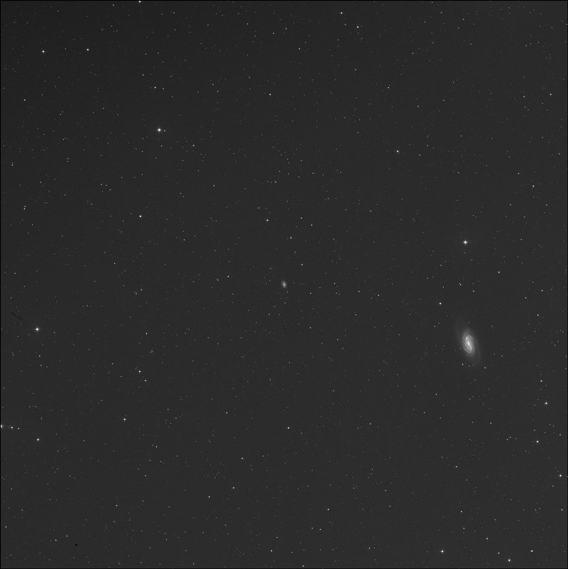 NGC 2916