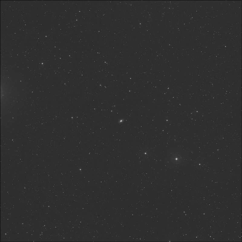 NGC 2950