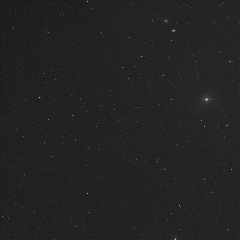 NGC 2981
