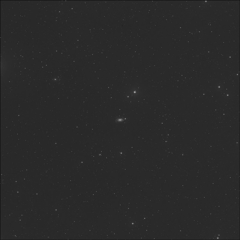 NGC 3338