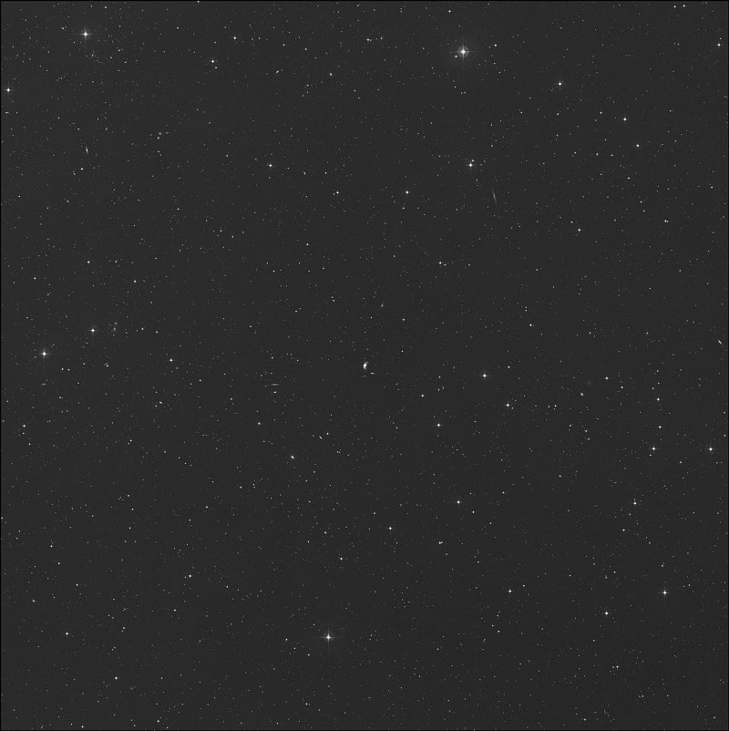 Galaxias de las Medusas