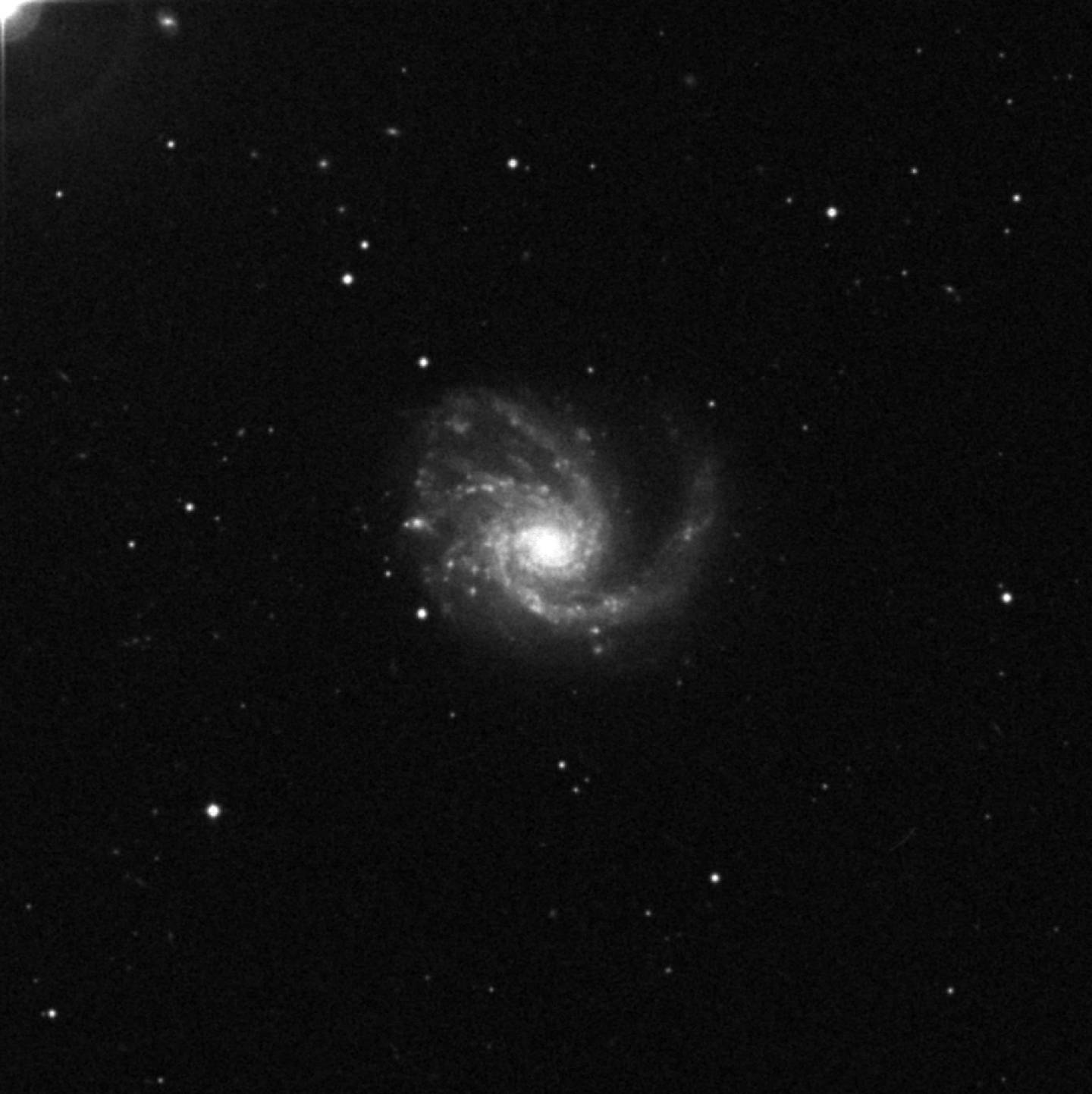 Messier 99 - Molinillo de Coma, Molinillo del Cúmulo de Virgo