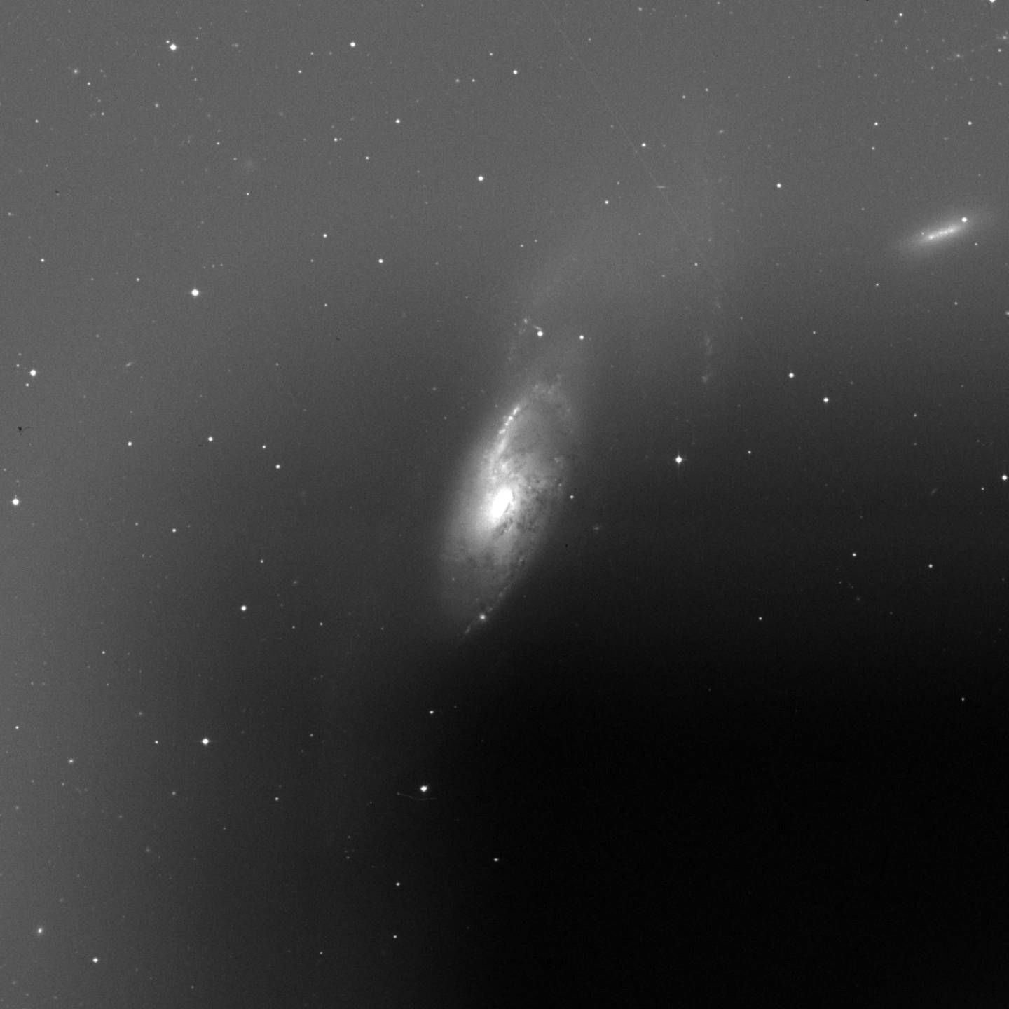 Messier 106 - Galaxia de los Brazos Anómalos