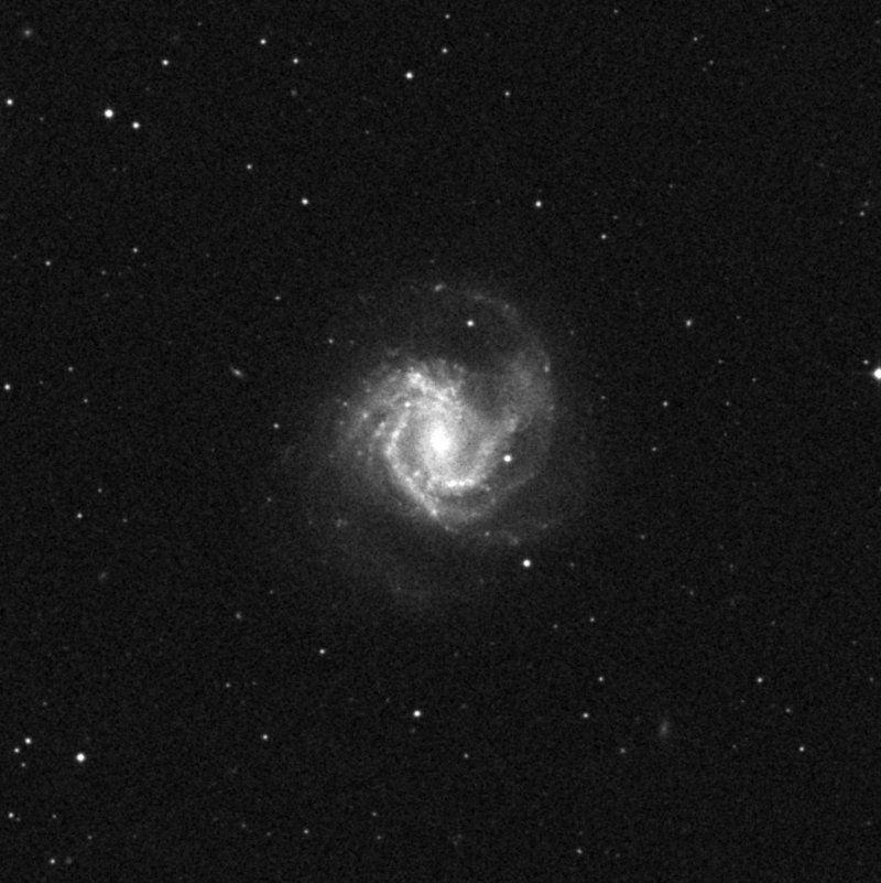 NGC 4303 - Zoom