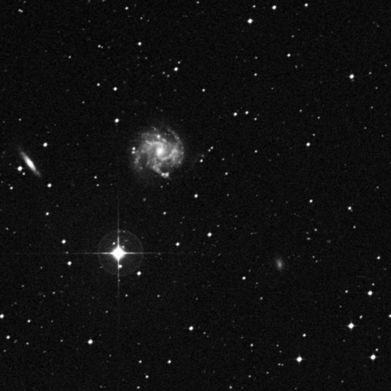IC 973 - Zoom