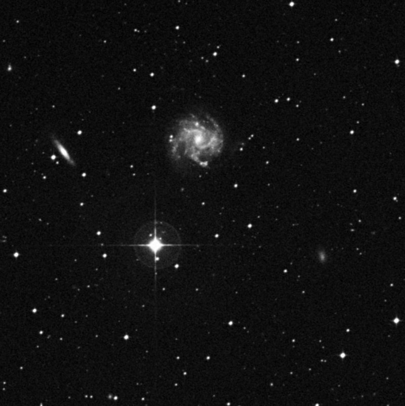 IC 974 - Zoom