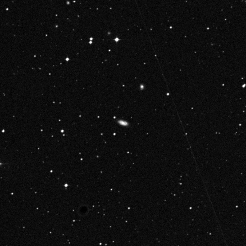 IC 981 - Zoom