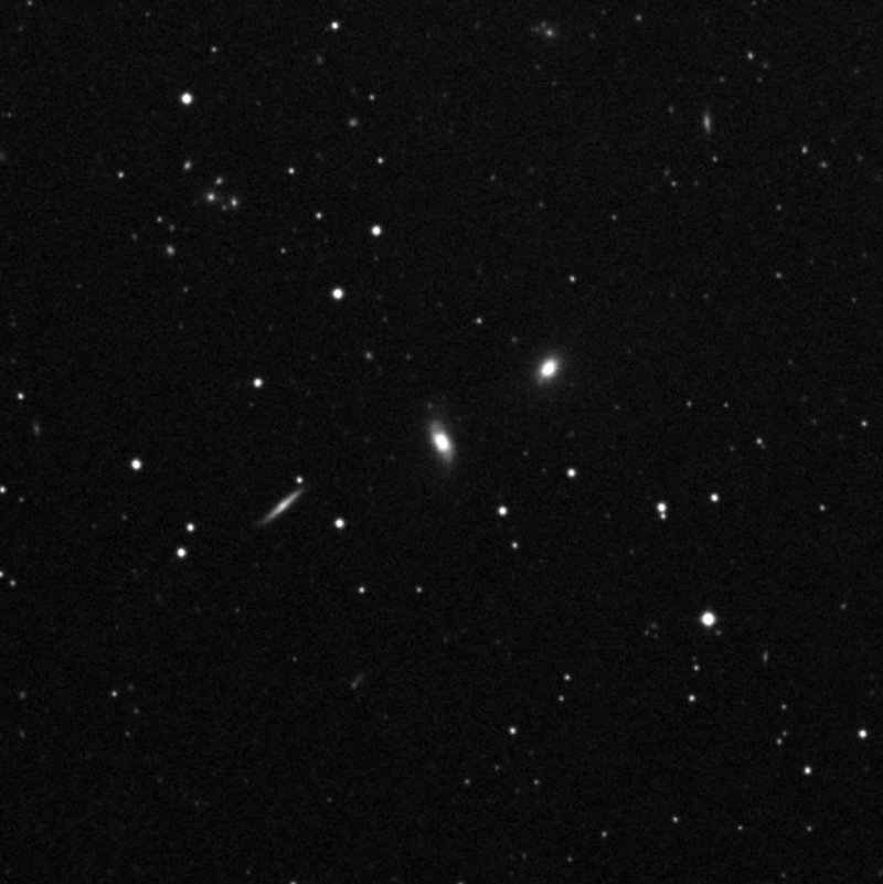 IC 1000 - Zoom