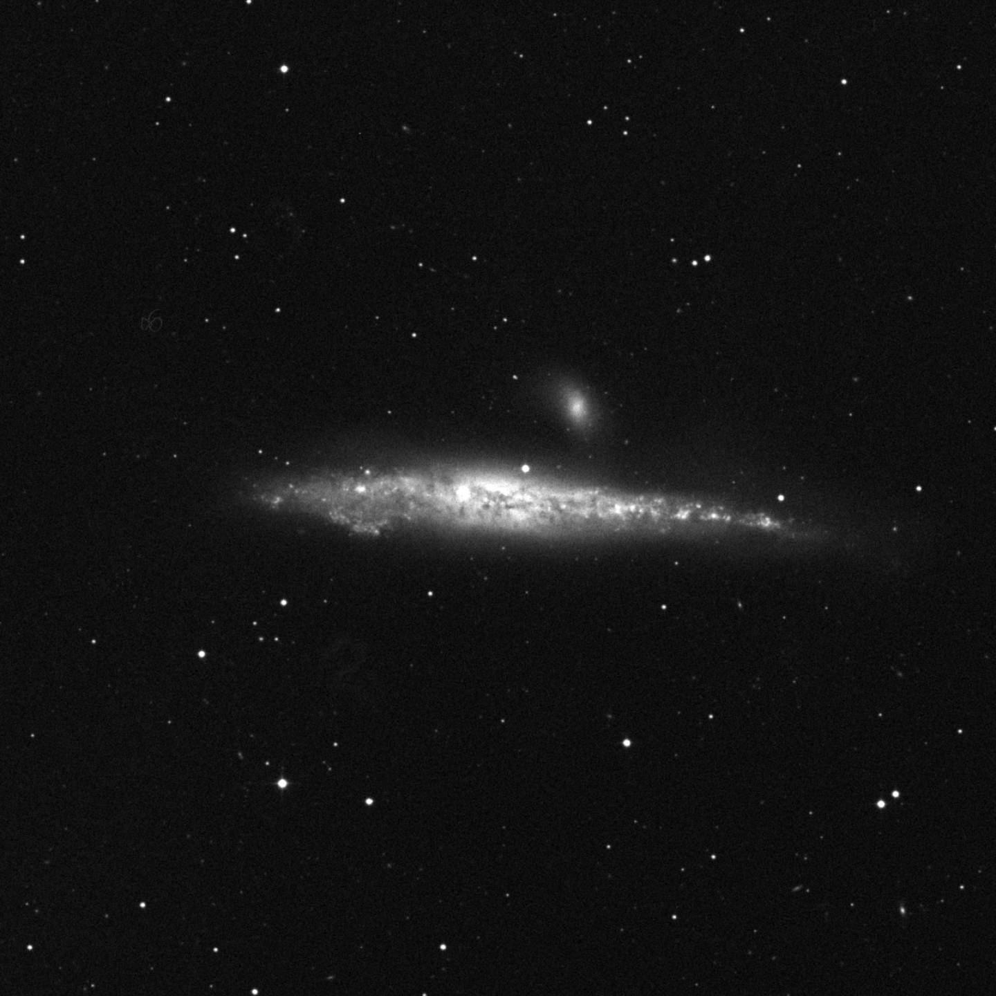 NGC 4631 - Galaxia de la Ballena
