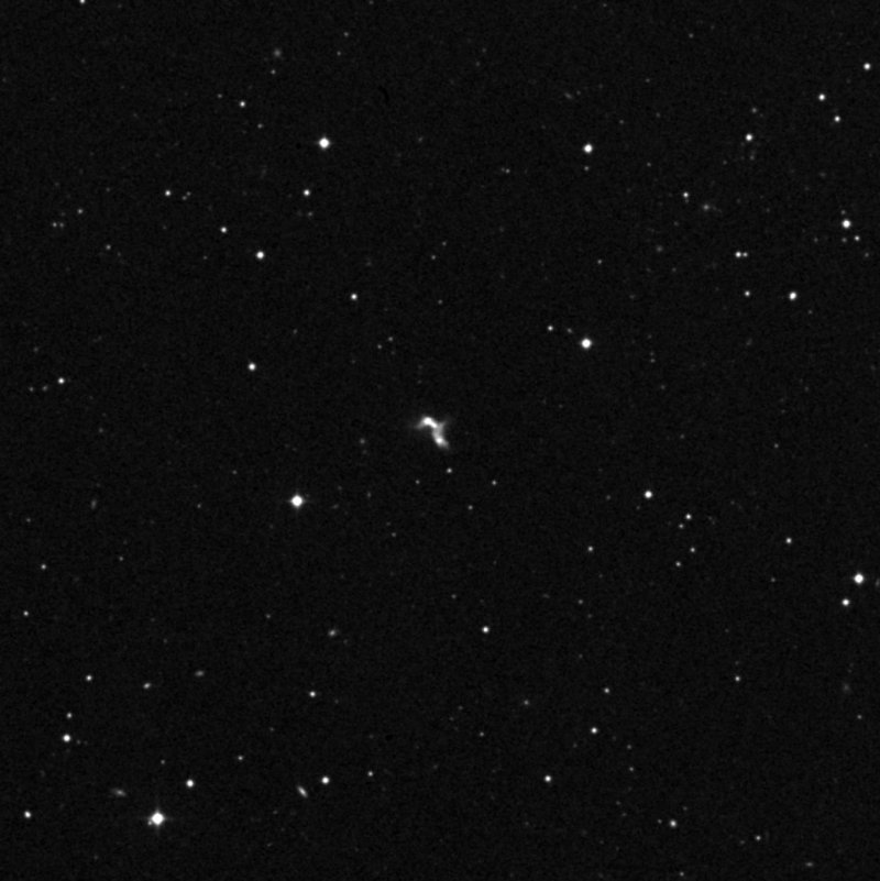 IC 101501 - Zoom