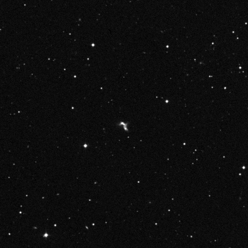 IC 101503 - Zoom