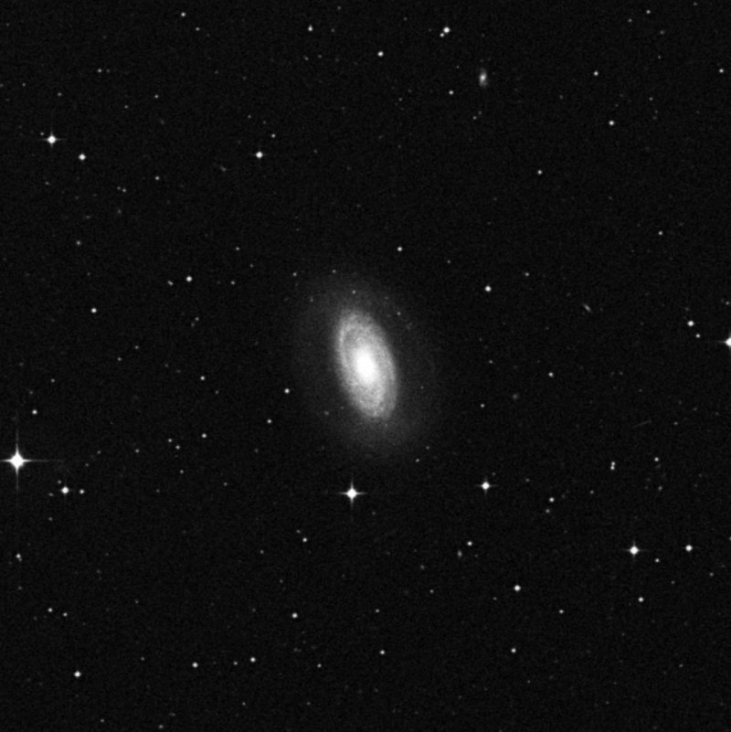 NGC 4941 - Zoom