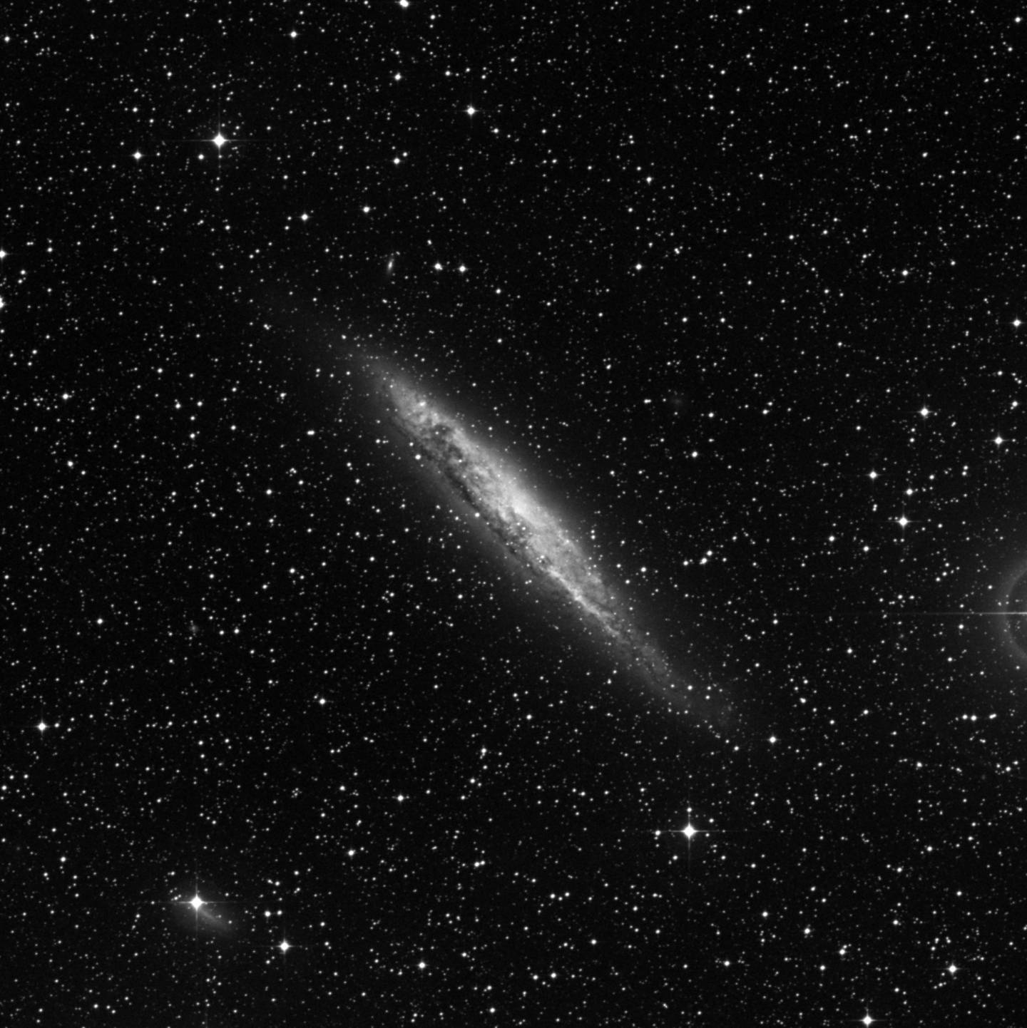 NGC 4945 - Galaxia del Centauro A