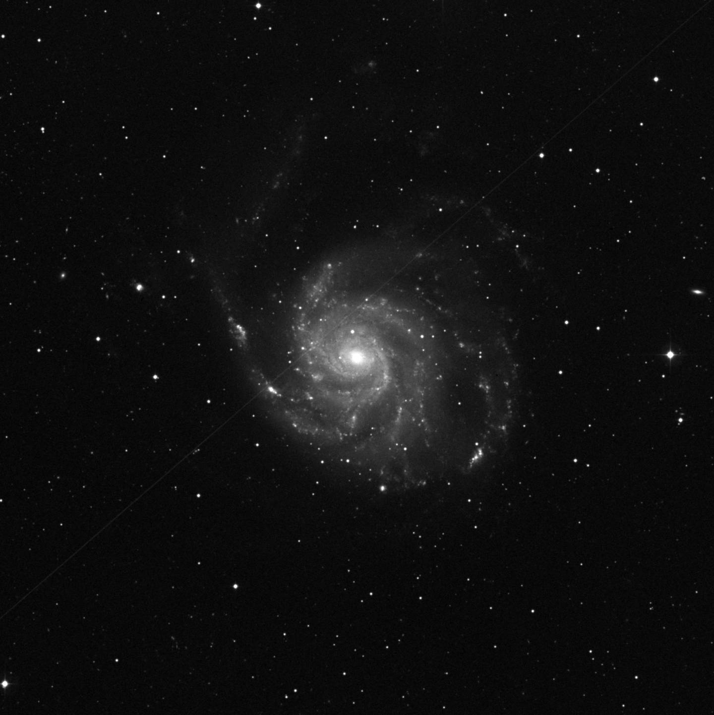 Messier 101 - Galaxia del Molinete