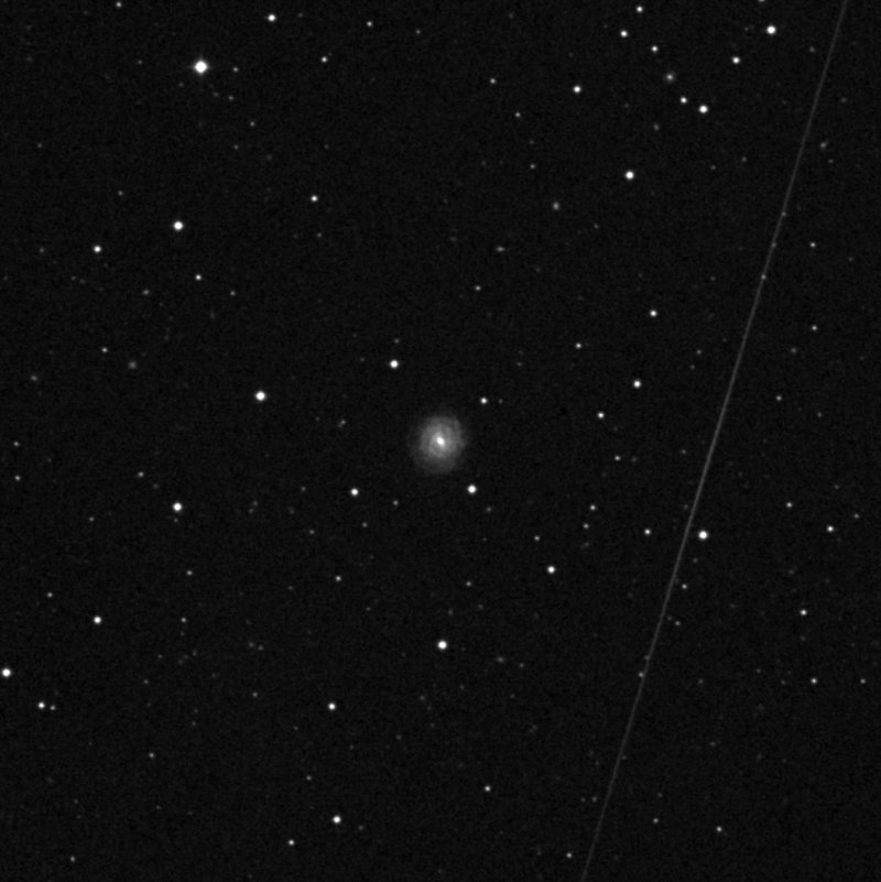 IC 1099 - Zoom