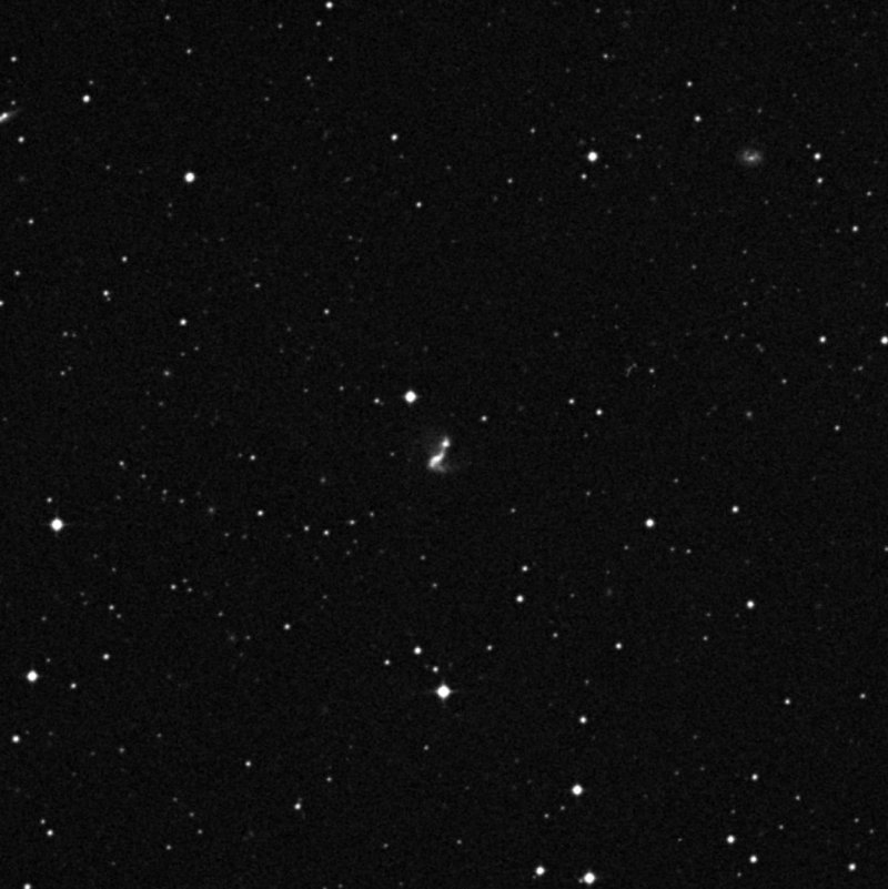 IC 111901 - Zoom