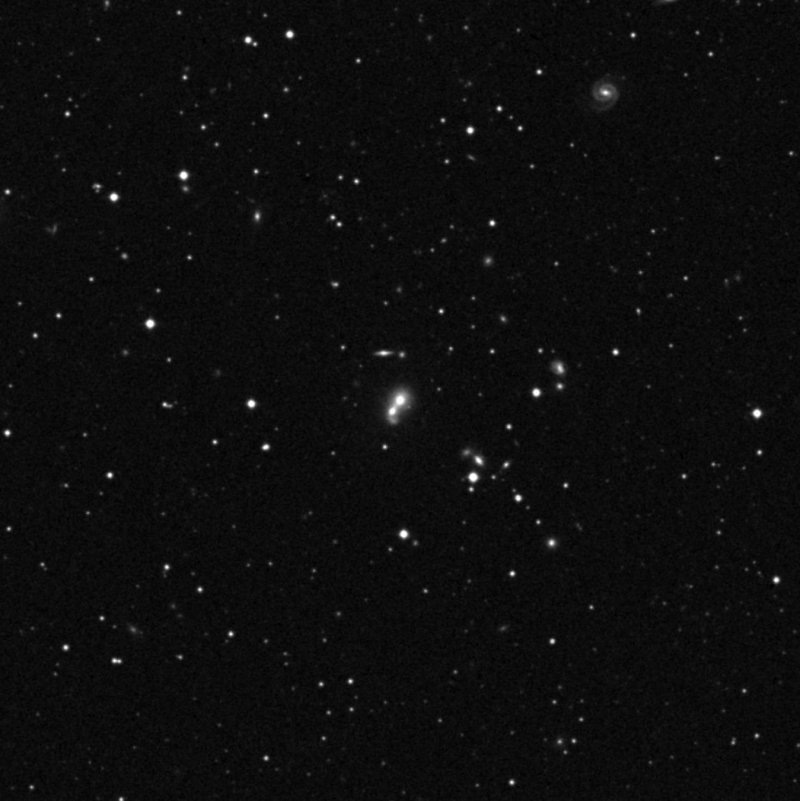 IC 116501 - Zoom