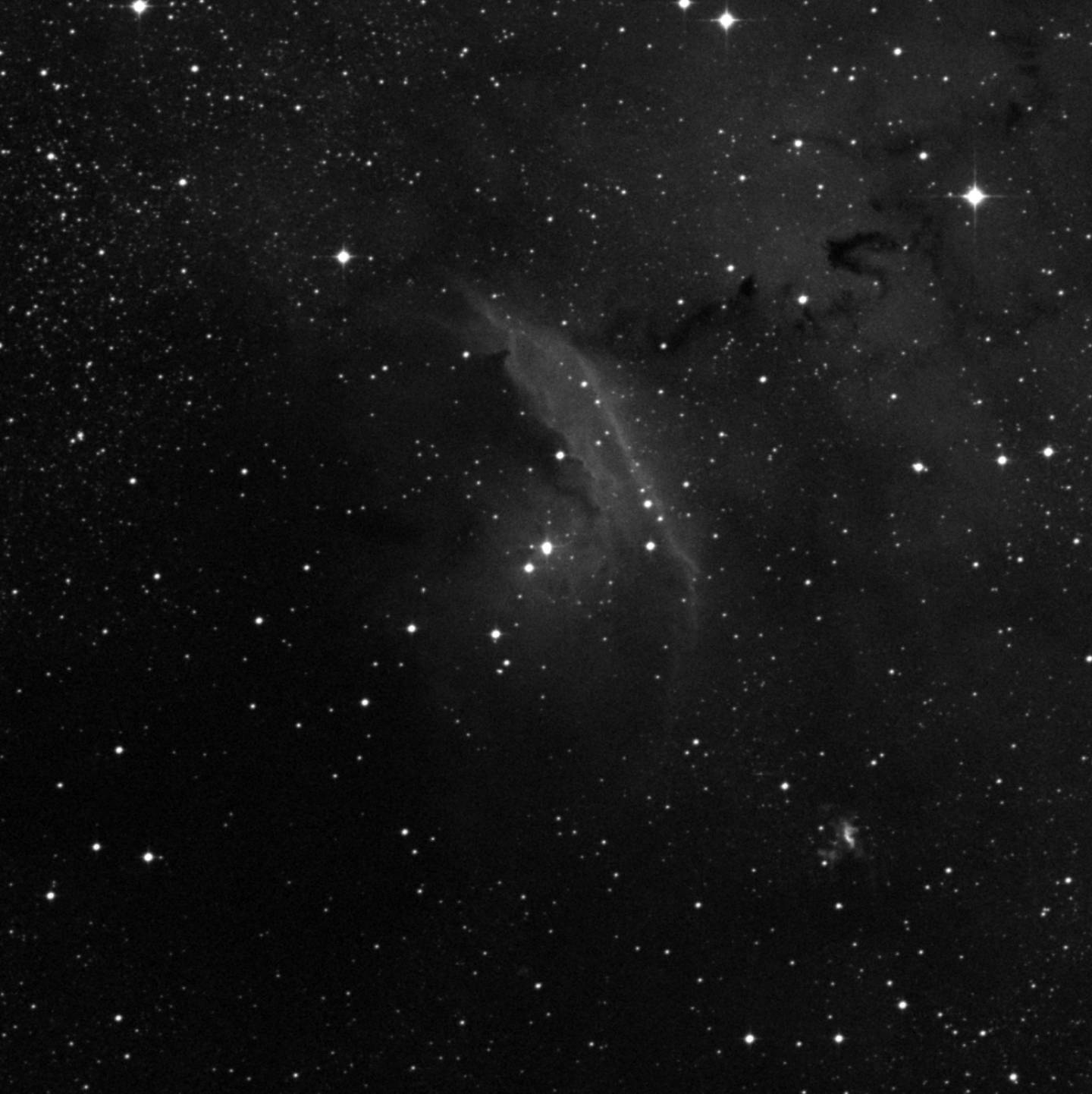 NGC 6559 - Nebulosa del Dragón Chino
