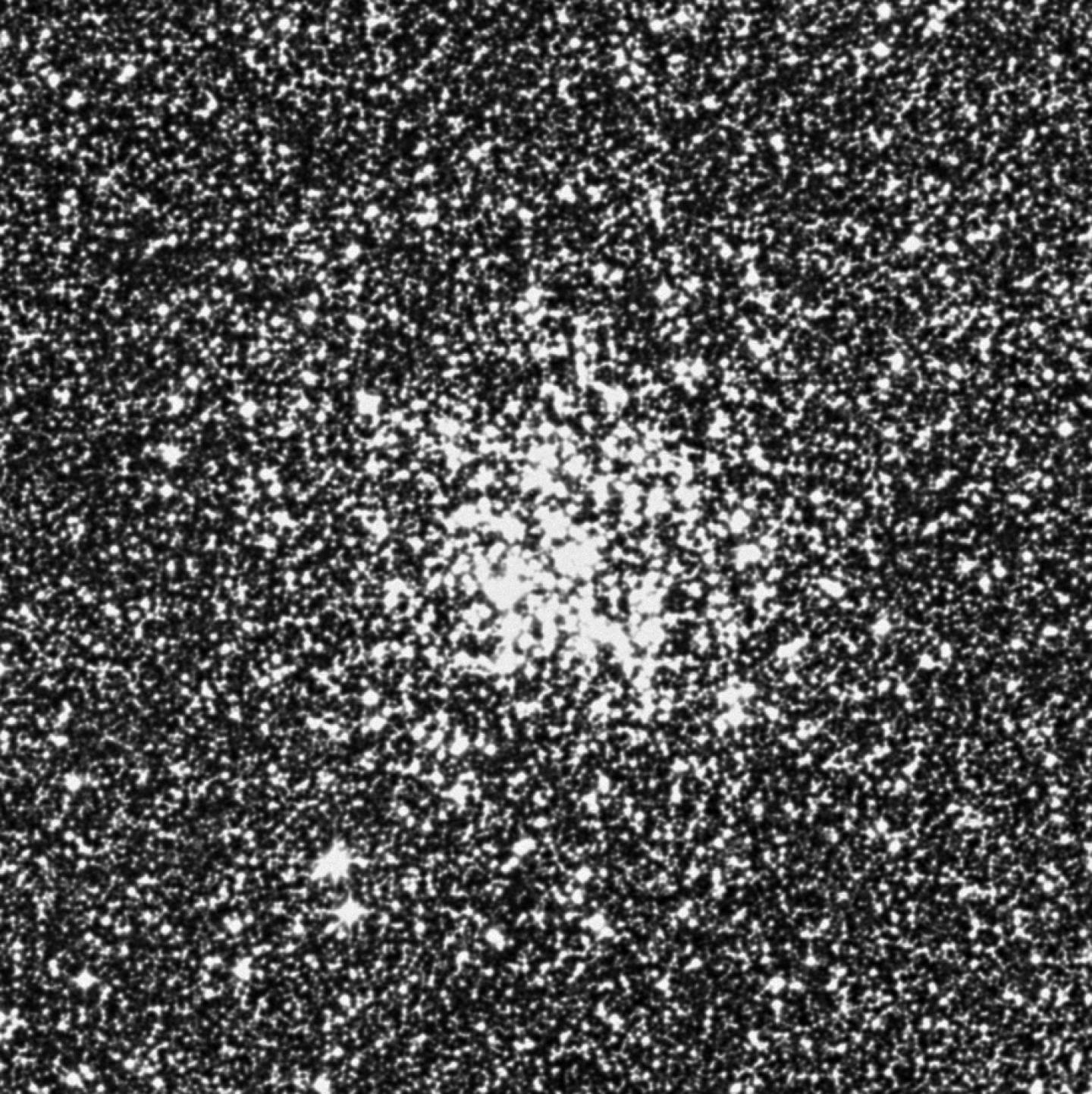 Messier 11 - Amas de l'Ecu de Sobieski, Cúmulo del Pato Salvaje
