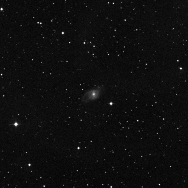 NGC 6911 - Zoom