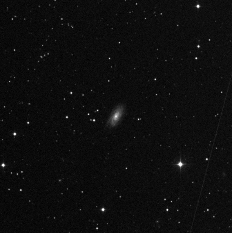 IC 1231 - Zoom