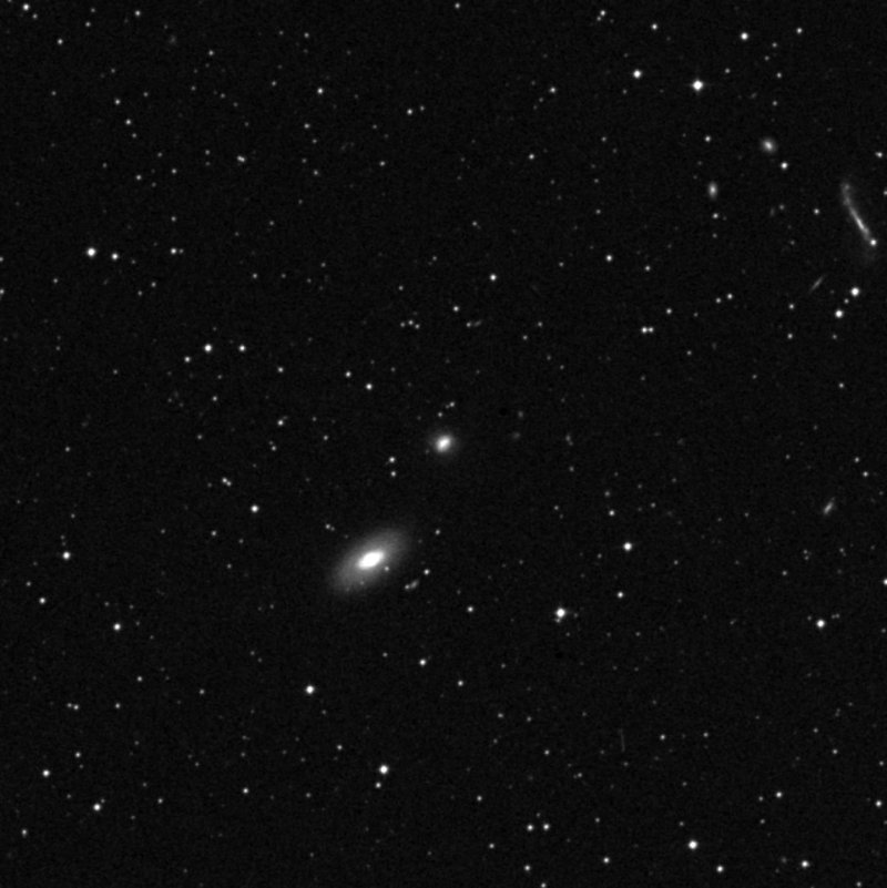 IC 1239 - Zoom